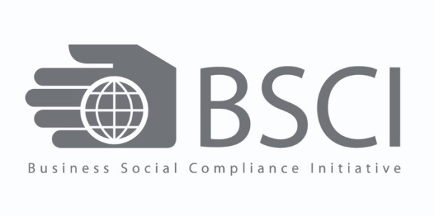 BSCI Logo